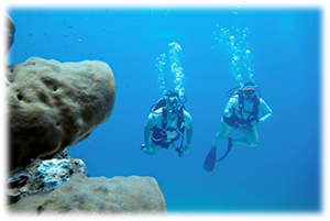 Scuba dive classes carolina beach scuba
